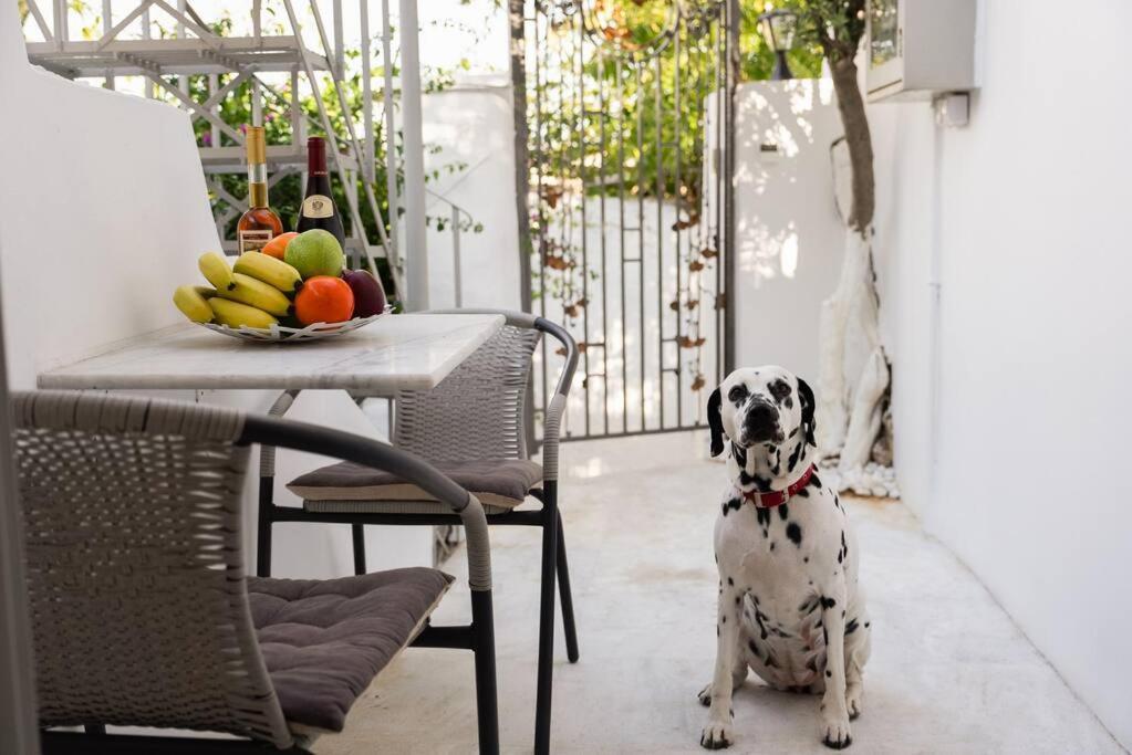 Villa Artemis Cycladic Charmed ! أثينا المظهر الخارجي الصورة